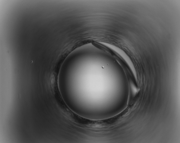 X0000094950412200712061255