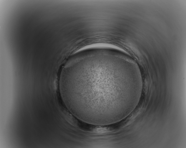 X0000094950413200712061255