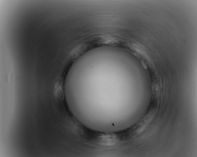 X0000094950415200712061255