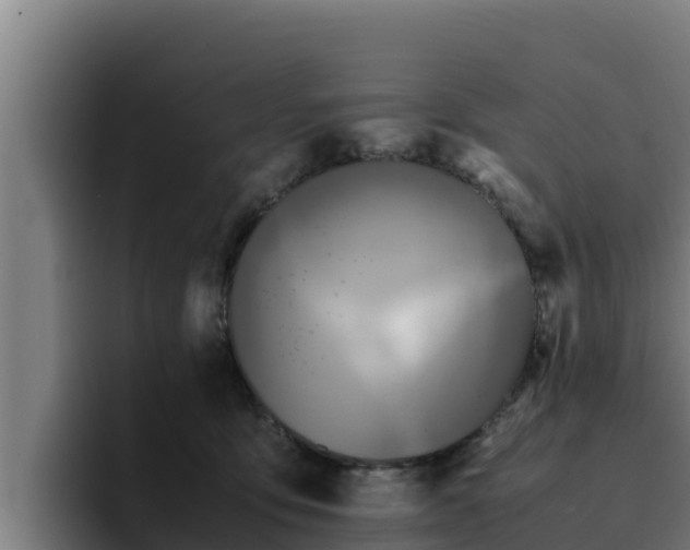 X0000094950419200712061255