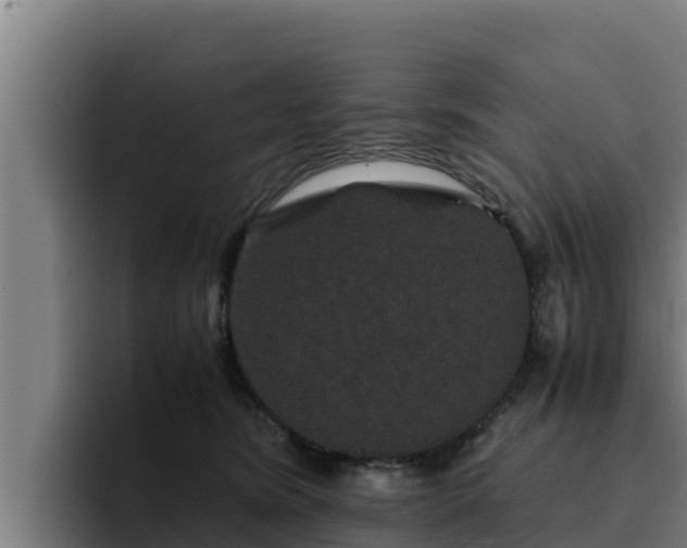 X0000094950420200712061255