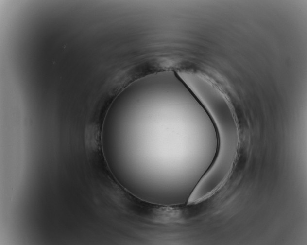 X0000094950421200712061255