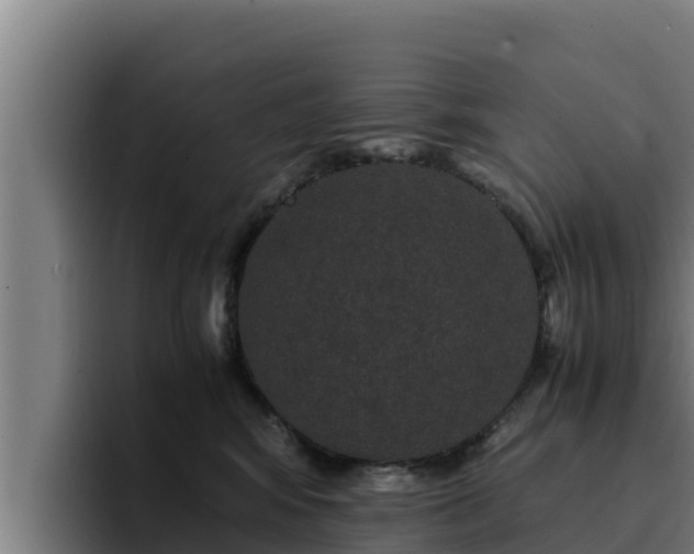 X0000094950424200712061255