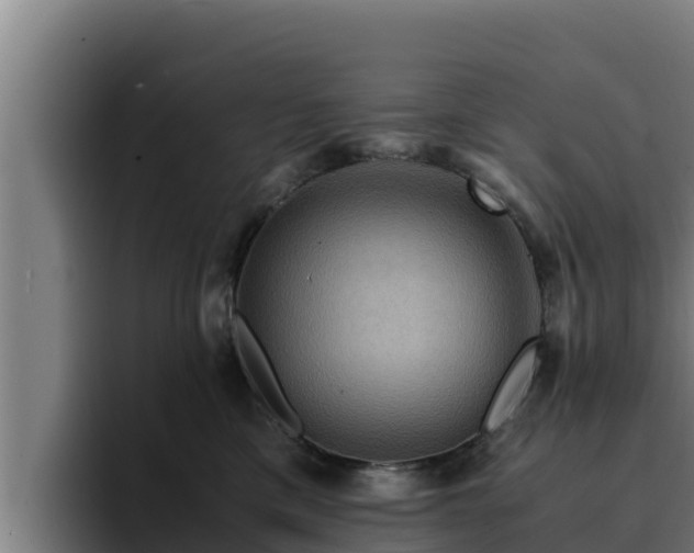 X0000094950425200712061255