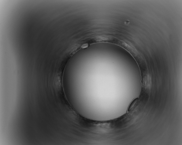 X0000094950426200712061255