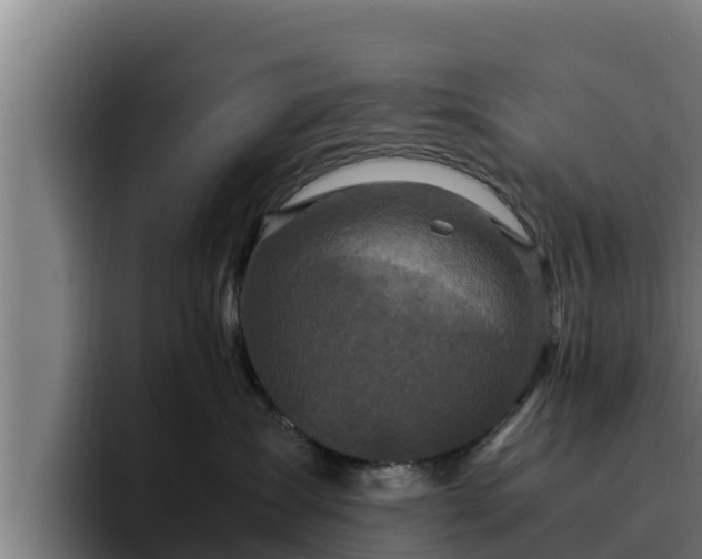 X0000094950431200712061255