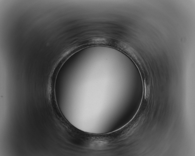 X0000094950435200712061254