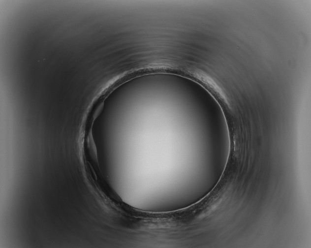 X0000094950436200712061254