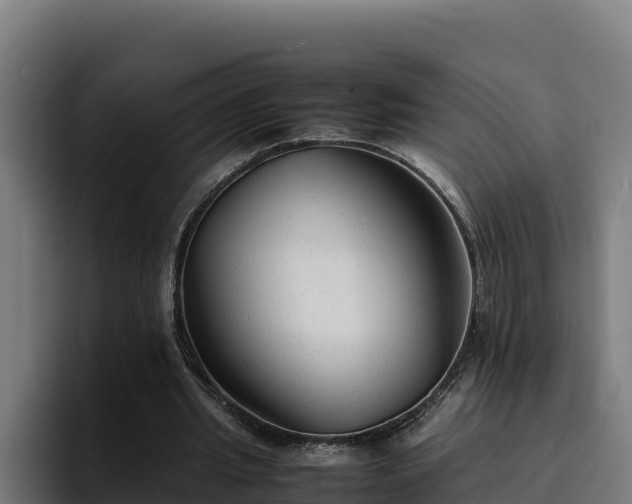 X0000094950437200712061254