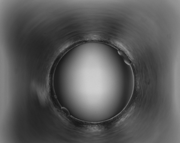 X0000094950439200712061254