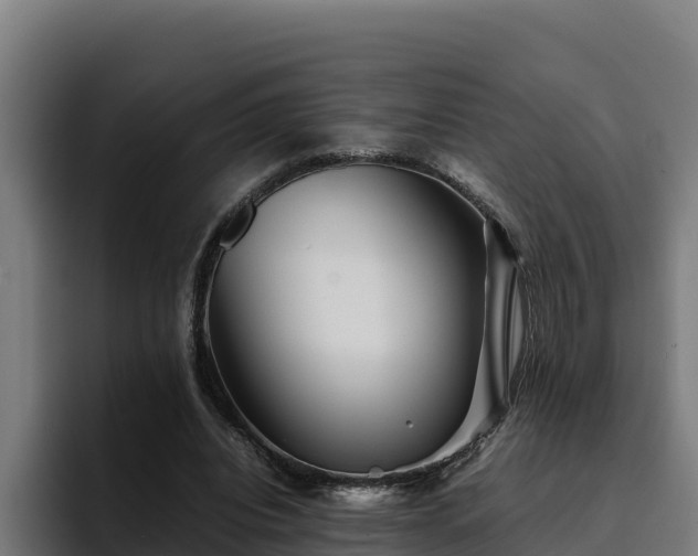 X0000094950440200712061254