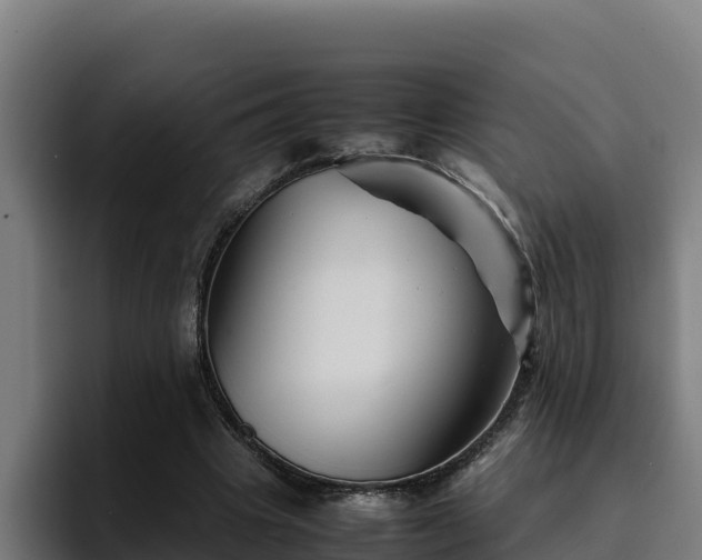 X0000094950441200712061254