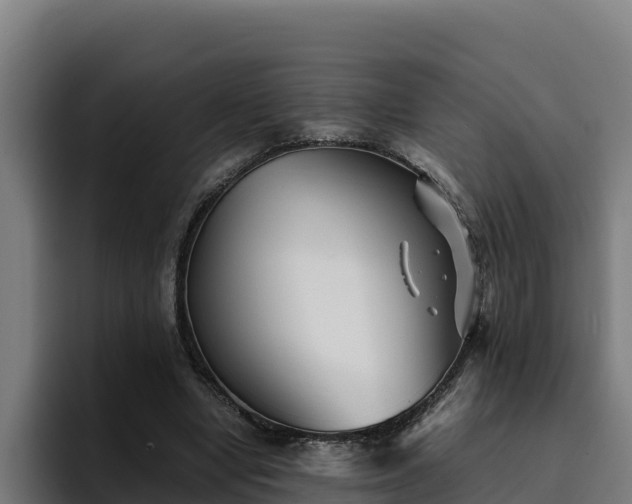 X0000094950442200712061254