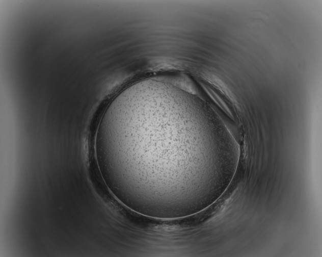 X0000094950444200712061255