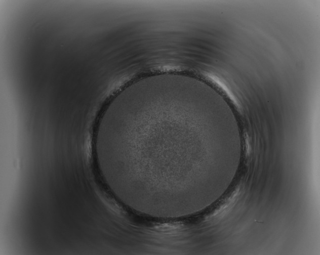 X0000094950447200712061255