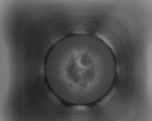 X0000094950449200712061255