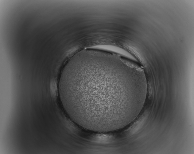 X0000094950453200712061255