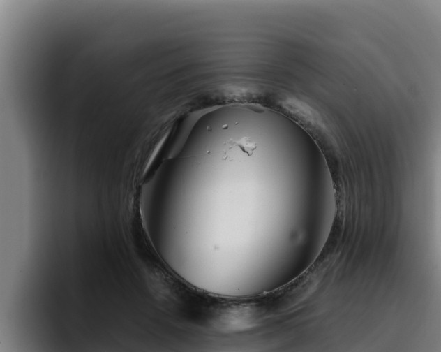 X0000094950456200712061255