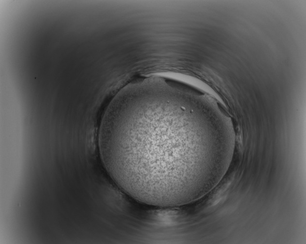 X0000094950462200712061255