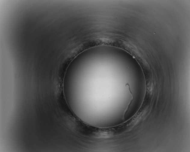 X0000094950464200712061255