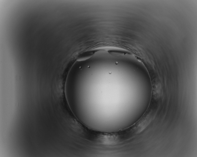 X0000094950466200712061255