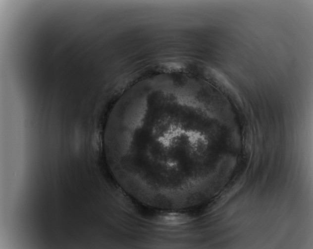 X0000094950467200712061255