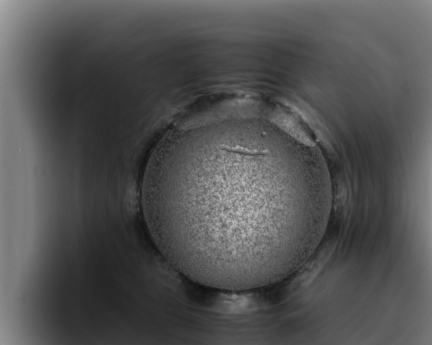 X0000094950469200712061255