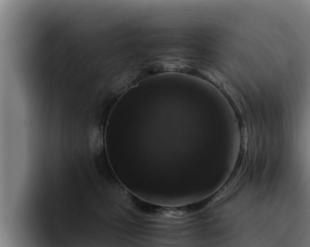 X0000094950471200712061255