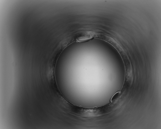 X0000094950473200712061255