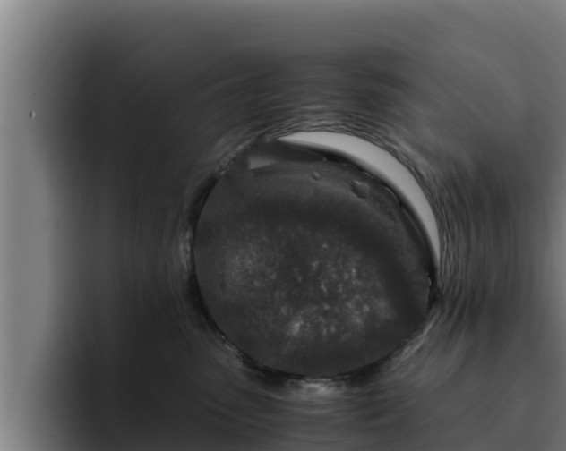 X0000094950475200712061255