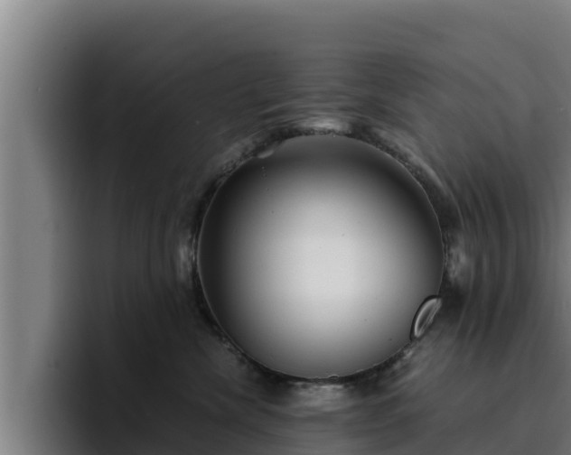 X0000094950476200712061255