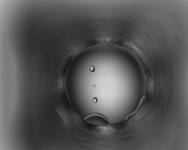 X0000094950477200712061255