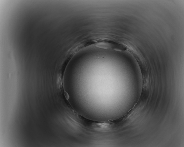 X0000094950478200712061255