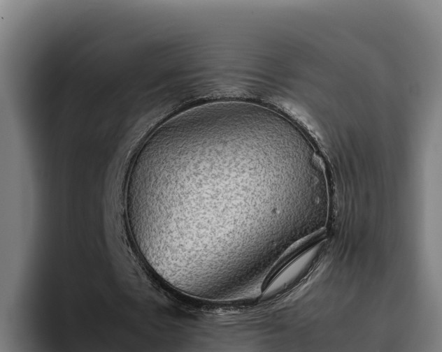 X0000094950481200712061254