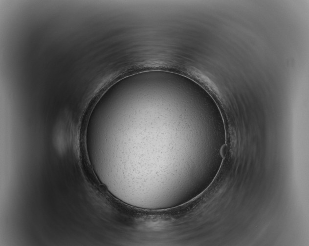 X0000094950482200712061254