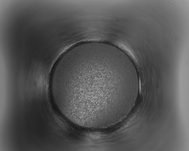 X0000094950483200712061254