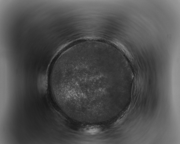 X0000094950484200712061254