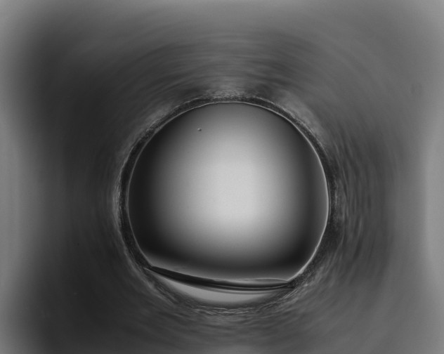 X0000094950485200712061254