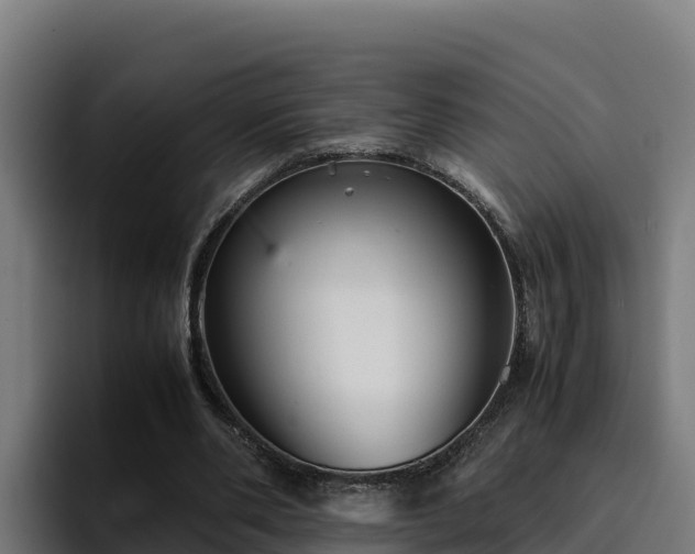 X0000094950486200712061254