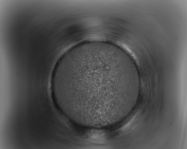 X0000094950487200712061254