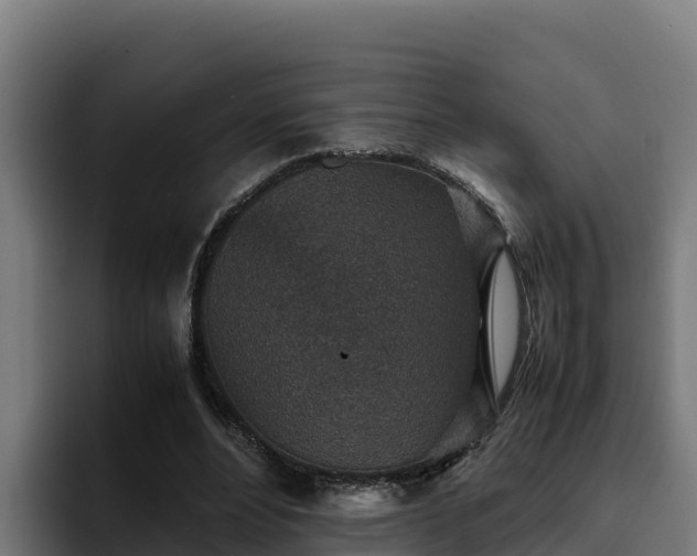 X0000094950488200712061254