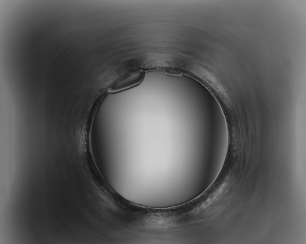 X0000094950489200712061254