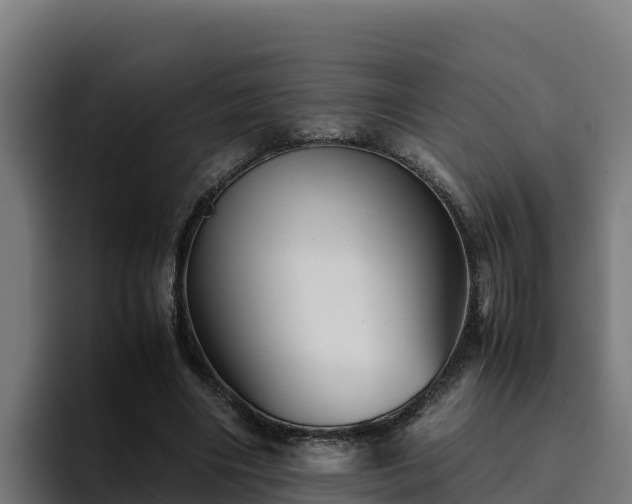 X0000094950490200712061254