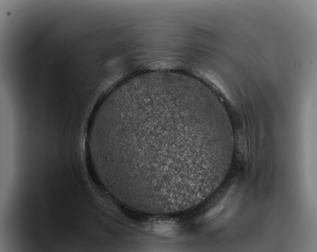 X0000094950491200712061254