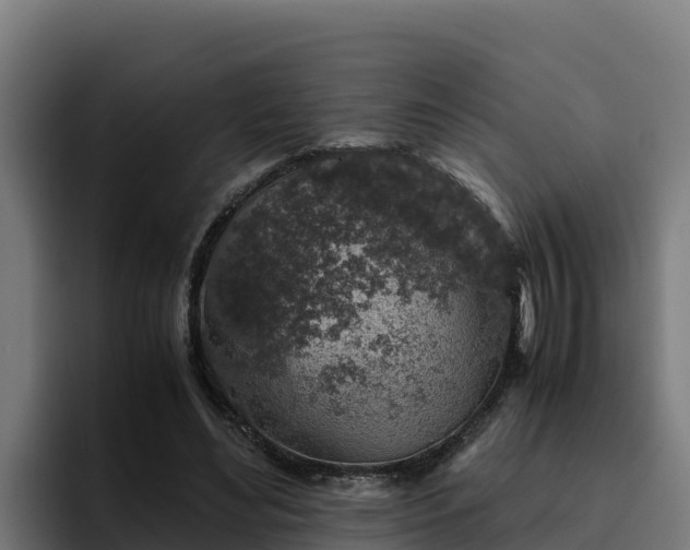 X0000094950492200712061254