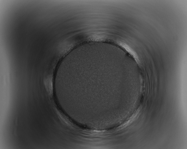 X0000094950493200712061254