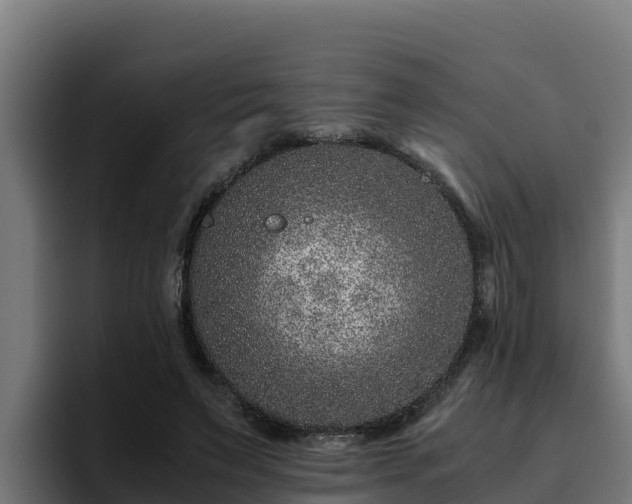 X0000094950495200712061254