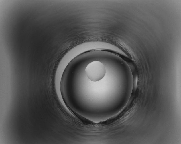 X0000094950497200712061254