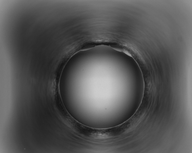 X0000094950498200712061254