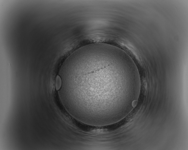 X0000094950499200712061254